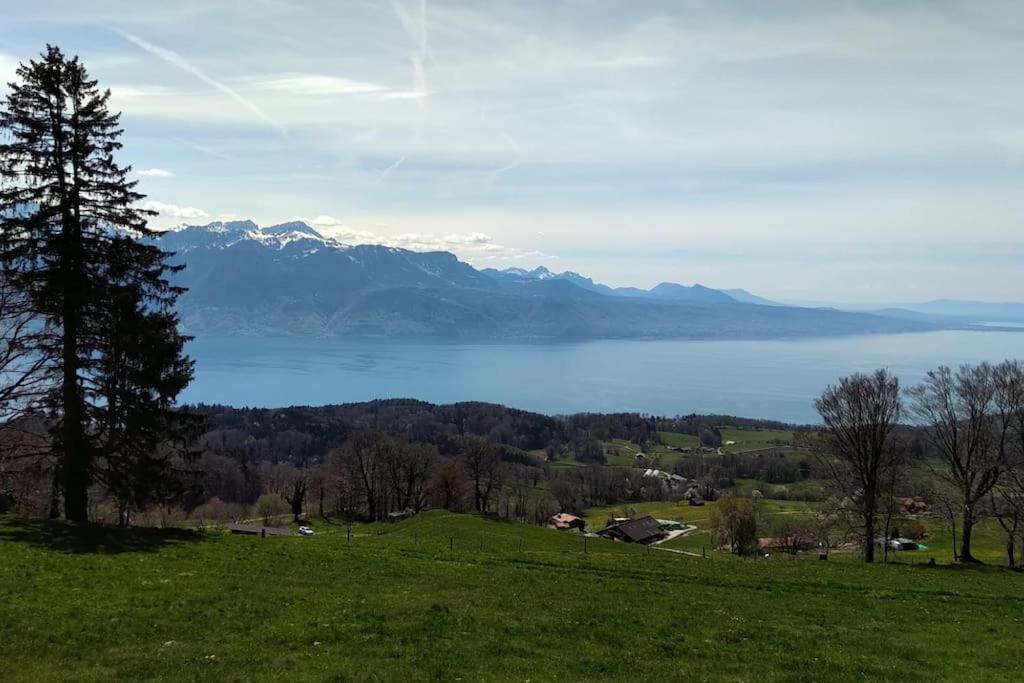 Appartement T2 Ideal Pour Une Famille Thollon-les-Memises Bagian luar foto